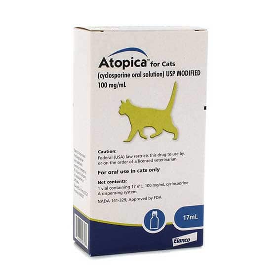 Cat skin allergy medicine hotsell