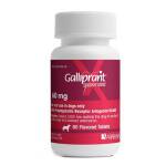 galliprant-osteoarthritis-dog-treatment-pure-life-pharmacy-alabama