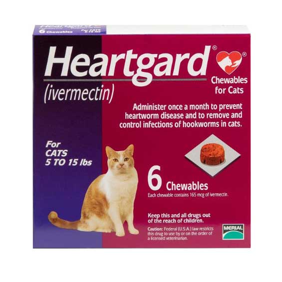 Heartworm medication 2025 for cats