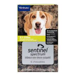 inexpensive sentinel spectrum for dogs